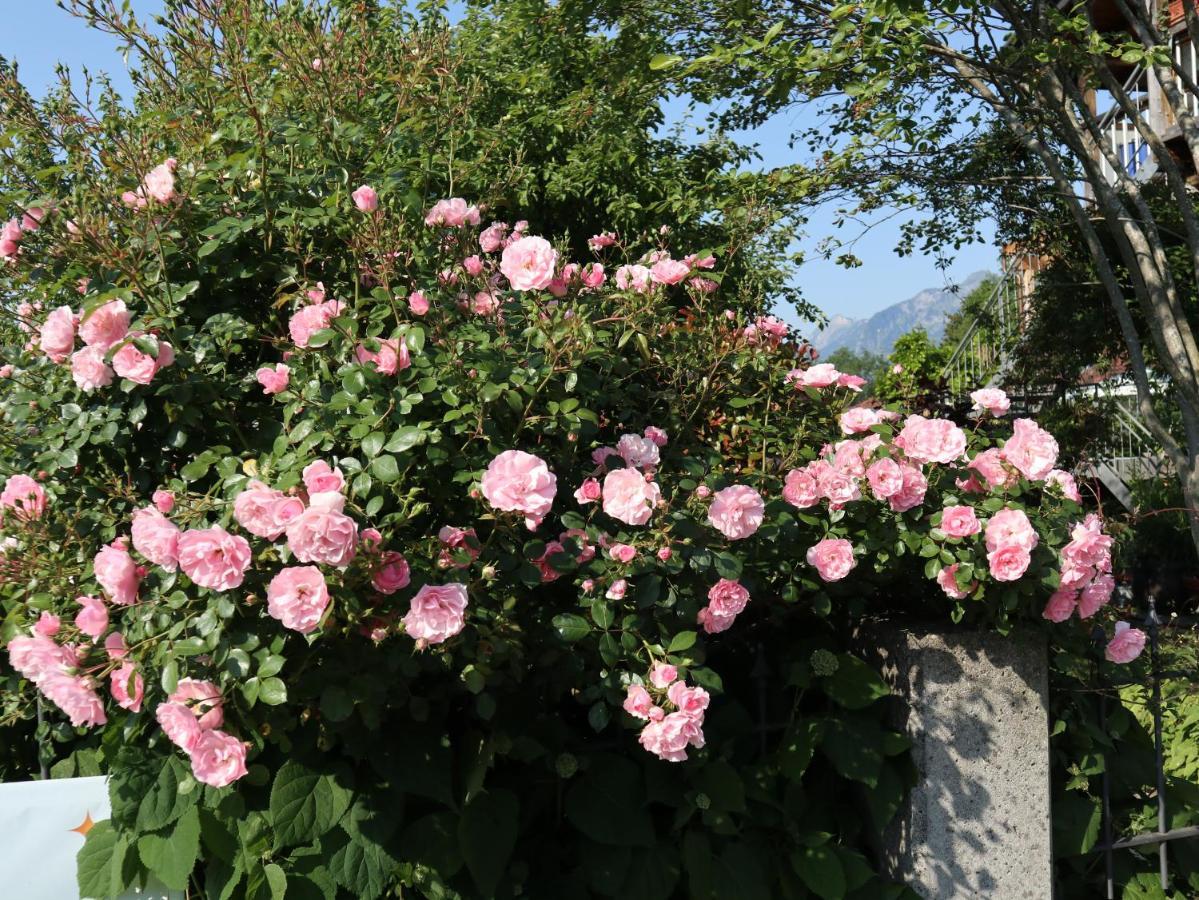 Ferienwohnung Am Rhein Koblach ภายนอก รูปภาพ